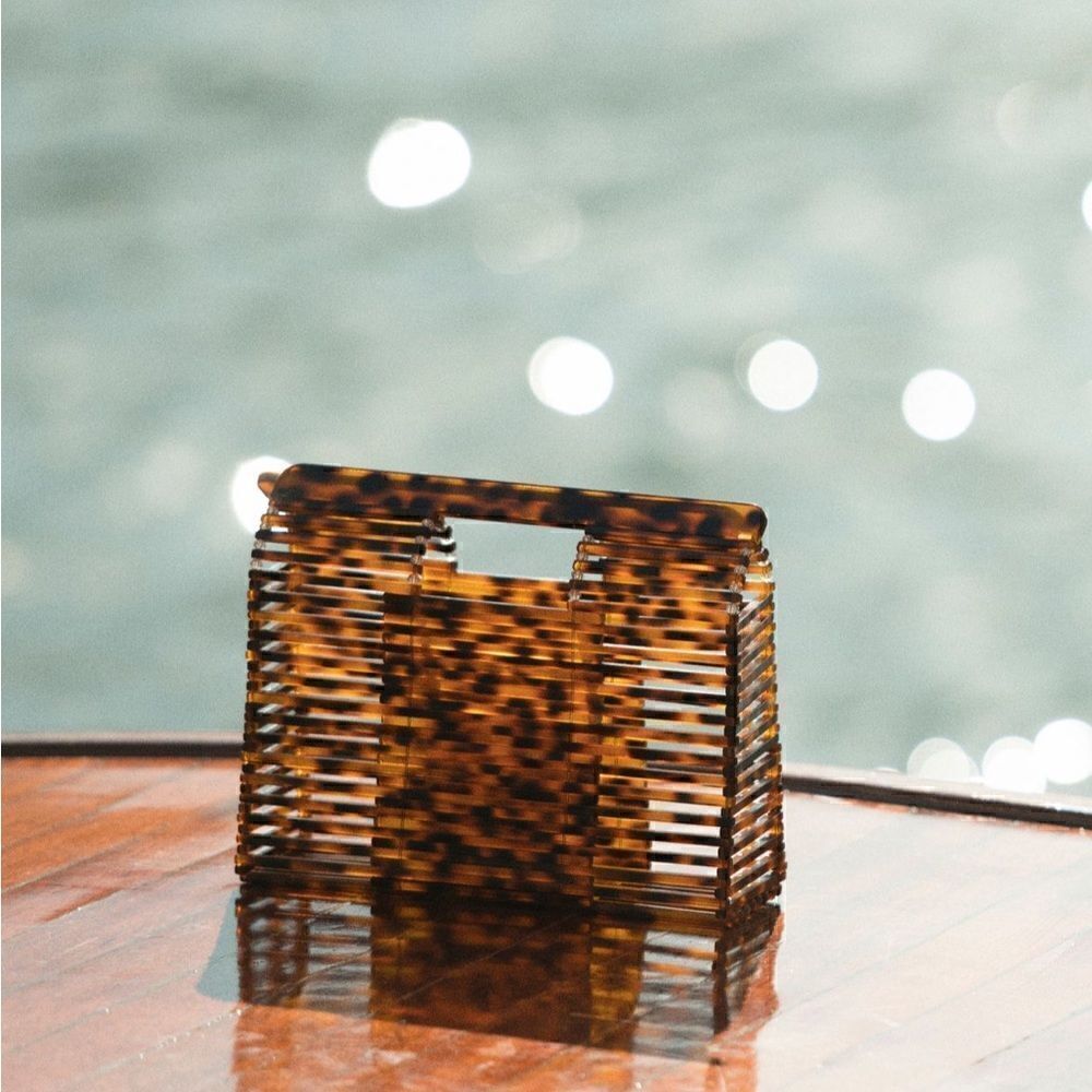 Anthropologie caged lucite basket bag NWT